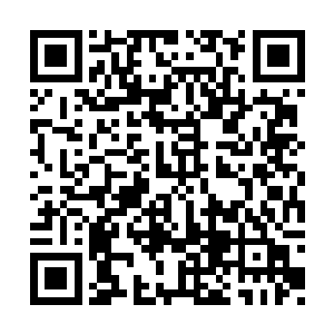 所有存放炸弹的仓库都被安全局的人控制了起来二维码生成