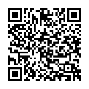 所有对手最后都是被他撕碎头颅之后被判出场的二维码生成
