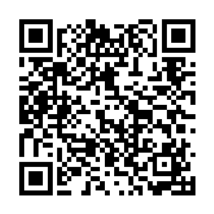 所有平民都送到联邦的学校里进行修真大道的教育二维码生成