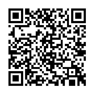 所有强者眼中都有着难以掩饰的喜悦和激动之情二维码生成