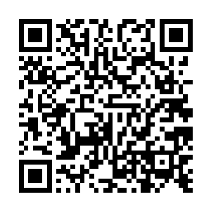 所有我们能够从现场收集到的证据都是经过精心设计好的二维码生成