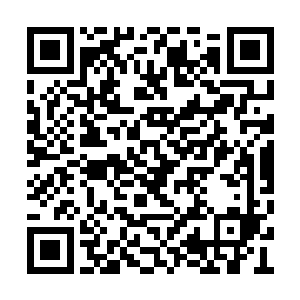 所有把视线投放在闻人牧月身上的男人们傻眼了二维码生成