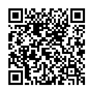 所有拿着武器的人原本稍微有点放松的神经一下子就紧张了起来二维码生成