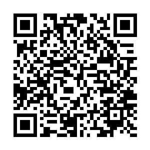 所有晶髓和妖丹子弹的排列顺序全都经过了李耀的精心计算二维码生成