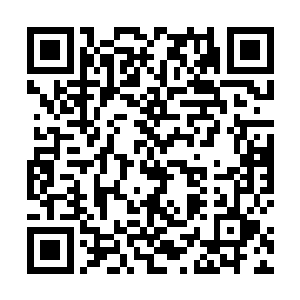 所有更像是表演结束之后灯光熄灭之前空无一人的舞台二维码生成