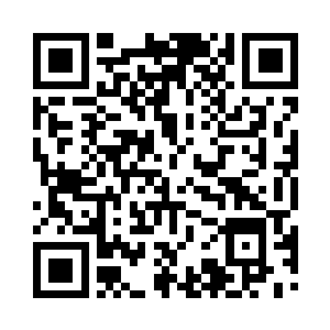 所有机型的运行效率都有了不同程度的提升二维码生成