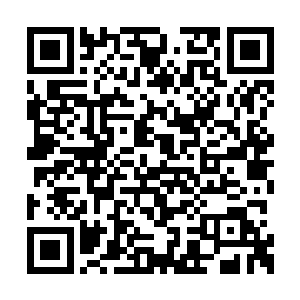 所有来到殿上的人都是张大了嘴巴倒吸一口冷气二维码生成