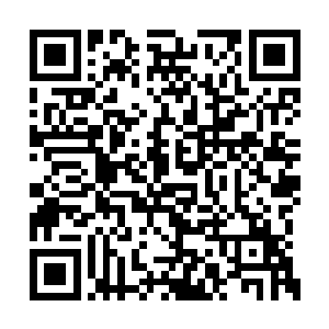所有武者都极度想要一堵庐山真面目的四季刀法二维码生成