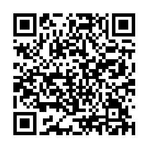 所有灵兽都在出生三天后会自主吸收天地灵气修炼二维码生成