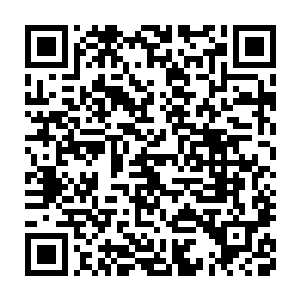 所有物品和生物头上的名字一直都是显示且都是她熟悉的仙界通用语二维码生成