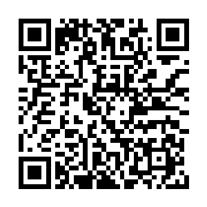 所有王家子弟包括上官燕都是快步向着门外走去二维码生成