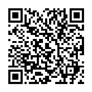 所有生活在这一片海域的海兽也都纷纷返回了自己的二维码生成