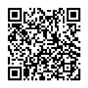 所有用的势力更加远远没有达到可以这么做的地步二维码生成