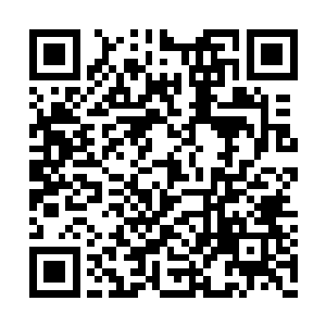 所有的一切都可以按照雷欢喜心里想的去进行了二维码生成
