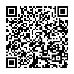 所有的东西包括随身物品都归还给了陈小练和罗迪包括陈小练的储物腕表二维码生成