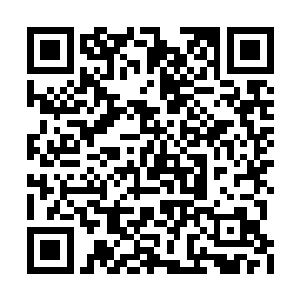 所有的人都是要经过四五十个大罗金仙的眼前的二维码生成