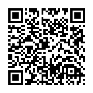 所有的修士都会找一本适合自己灵根的基础功法来学习二维码生成
