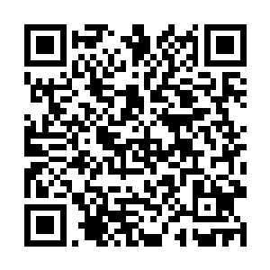 所有的修士都兴高采烈地领取属于自己的那一份资源二维码生成