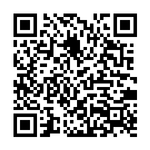 所有的兵马俑手里的武器都是冲着墓穴的对外通道的方向二维码生成