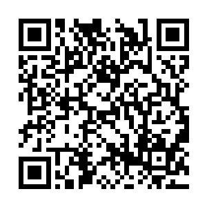 所有的剧情世界对于她来说如同旅游一般轻松容易二维码生成