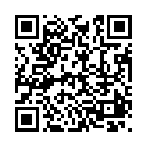 所有的大树不断的缠绕向上古火凤凰二维码生成