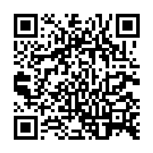 所有的学员都在仔细的思考麦卡隆对木达星界的战术点评二维码生成