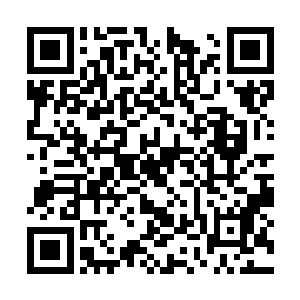 所有的怀疑不过是来源于苏澈和安齐远的直觉罢了二维码生成