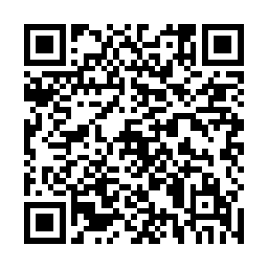 所有的思绪都仿佛被这一声平地惊雷给惊飞出九霄云外二维码生成