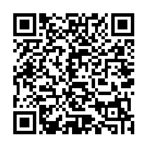 所有的手下就跟打了鸡血一般朝着东方浩然他们冲了过来二维码生成