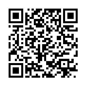 所有的流浪狗都像是得到了命令一样二维码生成