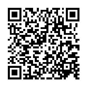 所有的生命都是以最大幅度获得资源来进化自己的身体二维码生成