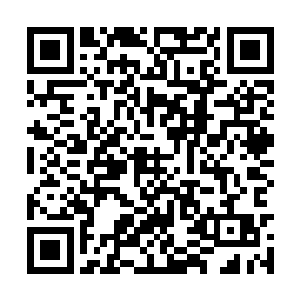 所有的男女之间都如同她和骆逸飞之间的相处一样二维码生成