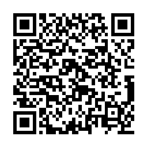 所有的目光都依旧落在了桌子上的那张符箓之上二维码生成