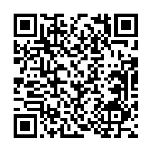 所有的节操在活命面前显然都变得无比的脆弱起来二维码生成