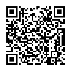 所有的草木竹石都在被这源源不断的力量所滋润着二维码生成