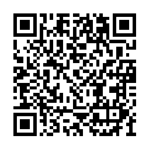 所有的课程都是根据每个学生的天赋量身订做的二维码生成