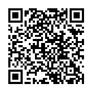 所有的调研项目都是基于马哈代夫海域的现实状况二维码生成
