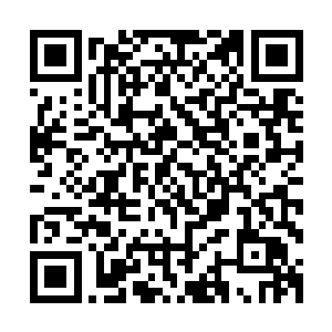 所有的车辆应该都投入到几公里外的那场莫名其妙大战中去了二维码生成