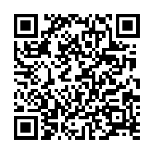 所有的边境线都意味着附近的某一个悬浮岛上有灵兽出没二维码生成