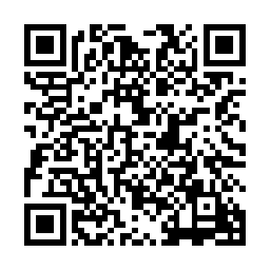 所有的进入上古遗迹的修士恐怕都会将性命扔在了这里二维码生成