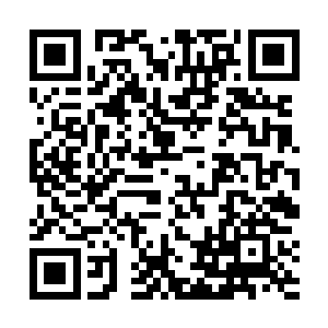 所有的银鳞金冠蛇都以一种极端小心翼翼的态势盘缠着二维码生成