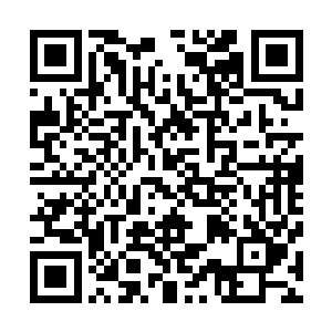 所有的黑影都精准地命中了密林中一棵棵大树上的白色圆圈二维码生成