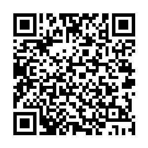 所有知道黎明战队的人都想亲眼目睹黎明站在的真正实力二维码生成