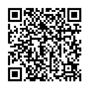 所有网民集体冲向了那节目组和那两位明星的官方微博下面二维码生成