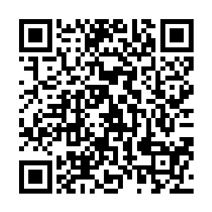 所有能看懂局势的人都为马文一行人的功败垂成感到惋惜二维码生成