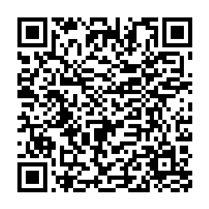 所有英杰都没能穿进去――因仙人一人的资源量就占满了一千六百英杰二维码生成