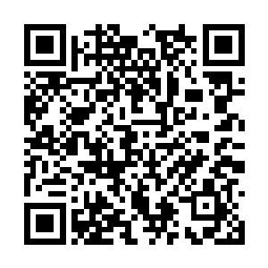 所有被封印的上古神祇与上古修士都将解除了封印二维码生成