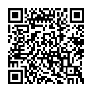 所有被杀死的有角人都是当地土著无角人动的手二维码生成