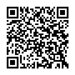 所有观众就好像是提线木偶被剪断了控制绳一般二维码生成