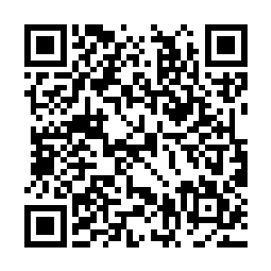 所有观众都是眼前一亮的……秦方终于压制不住了二维码生成